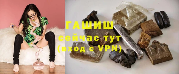 крисы Мегион