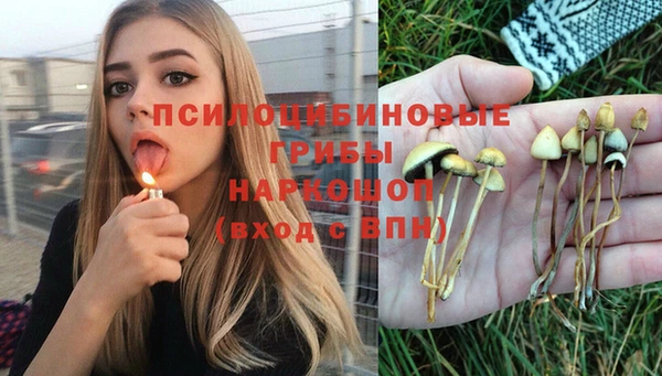 крисы Мегион