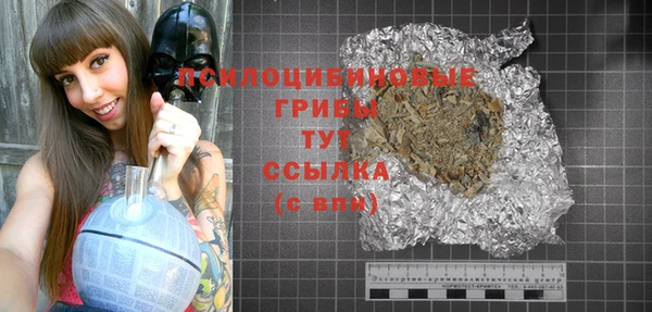 крисы Мегион